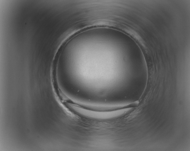 X0000073410991200607281122