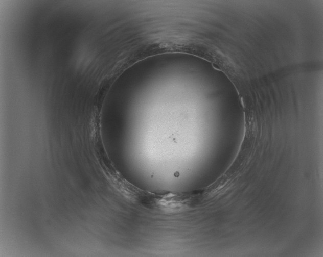 X0000073411012200607281120