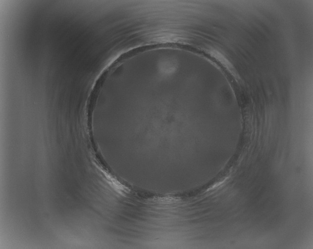 X0000073411023200607281121