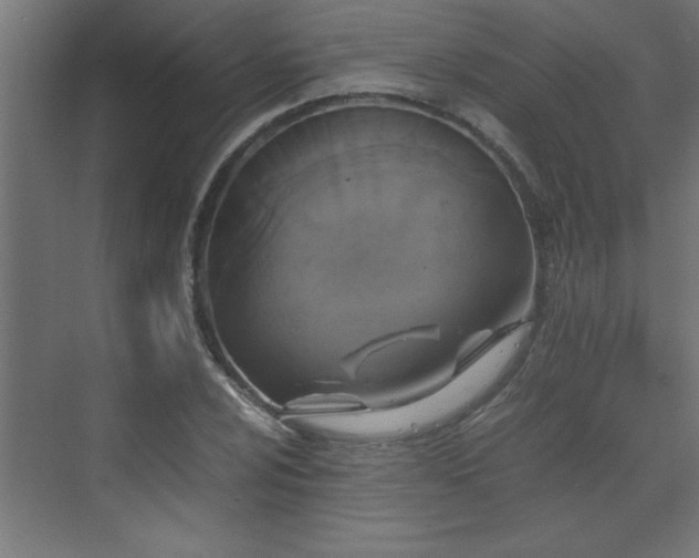 X0000073411024200607281121