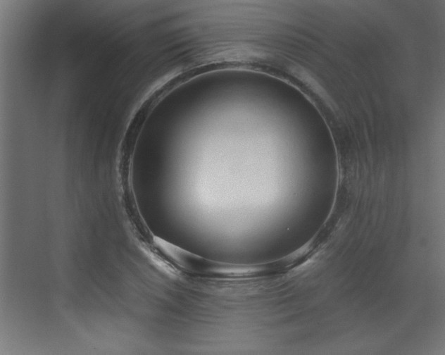 X0000073411026200607281121