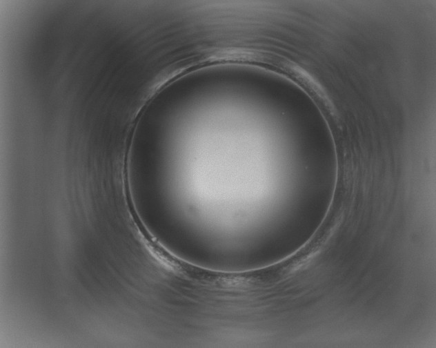 X0000073411041200607281121