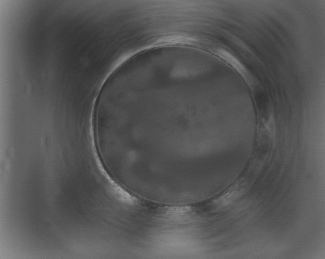 X0000073411055200607281121