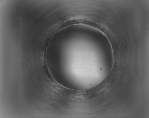 X0000073411062200607281120