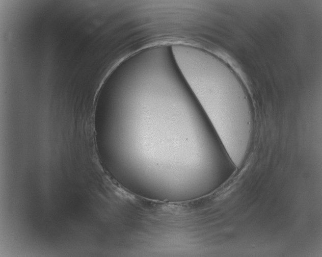 X0000073411097200607281120