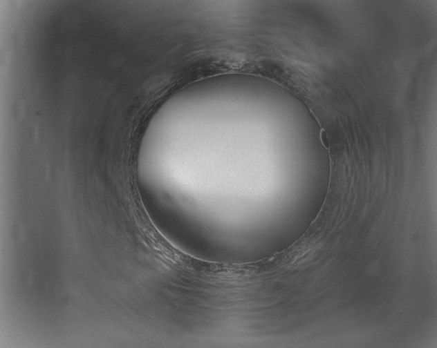 X0000073411105200607281119