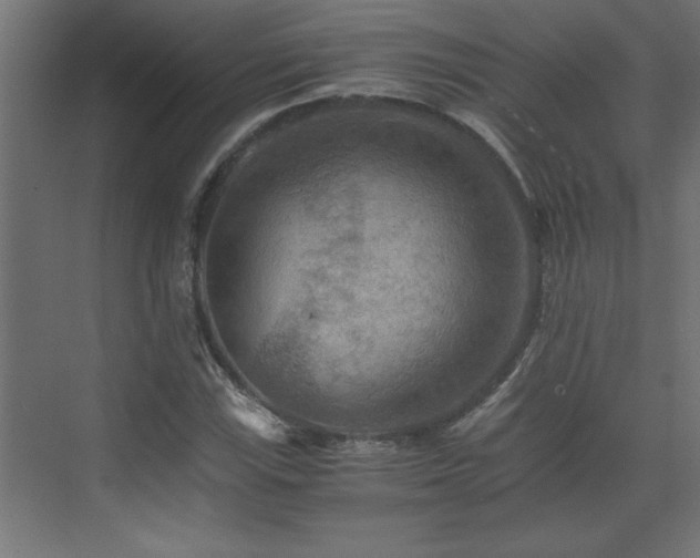 X0000073411115200607281119