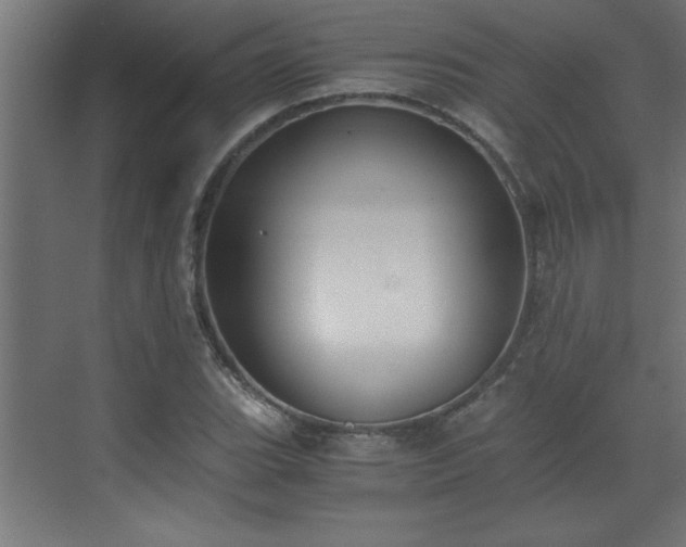 X0000073411119200607281119