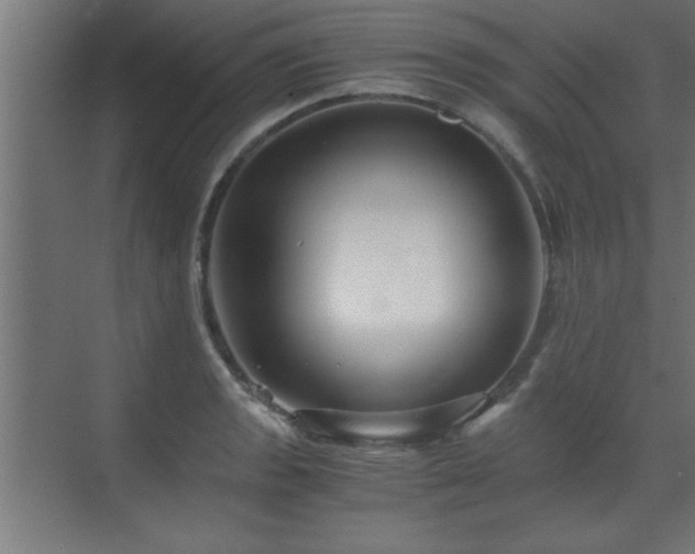 X0000073411133200607281119