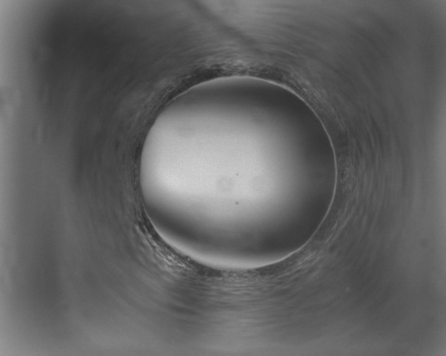 X0000073411153200607281119