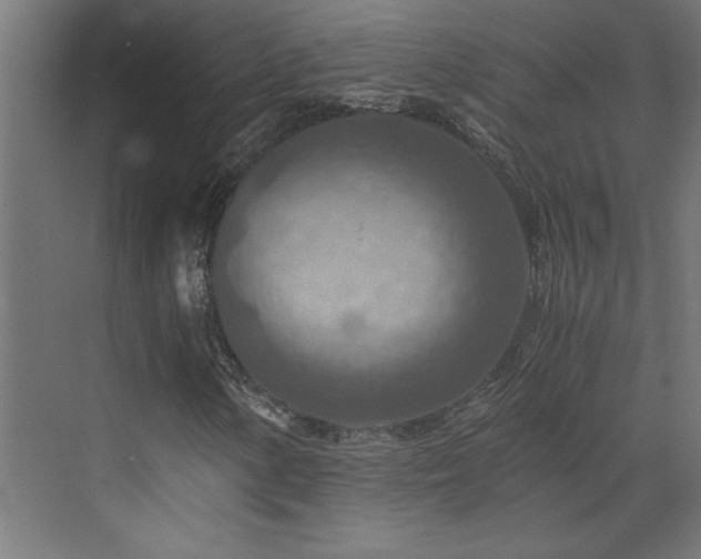 X0000073411154200607281119
