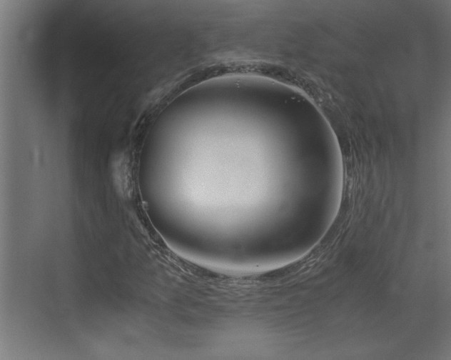 X0000073411157200607281119