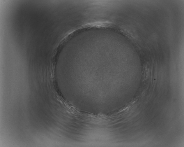 X0000073411158200607281119