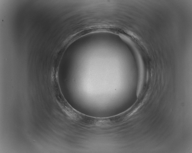 X0000073411161200607281119