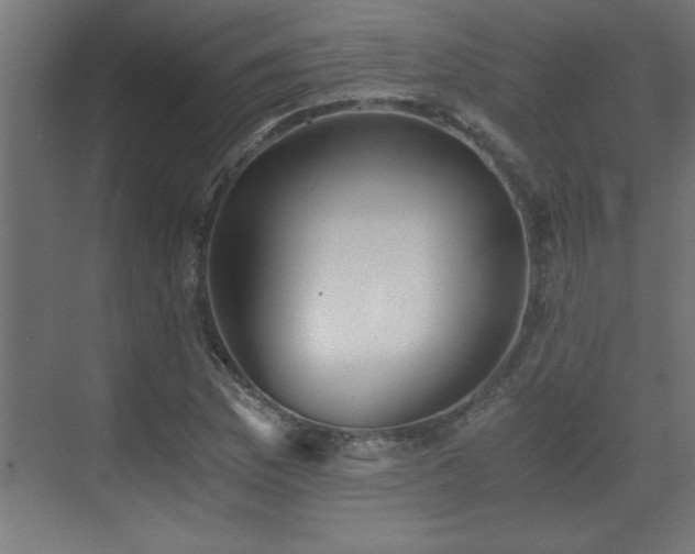 X0000073411169200607281118