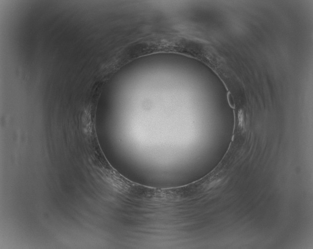 X0000073411203200607281117