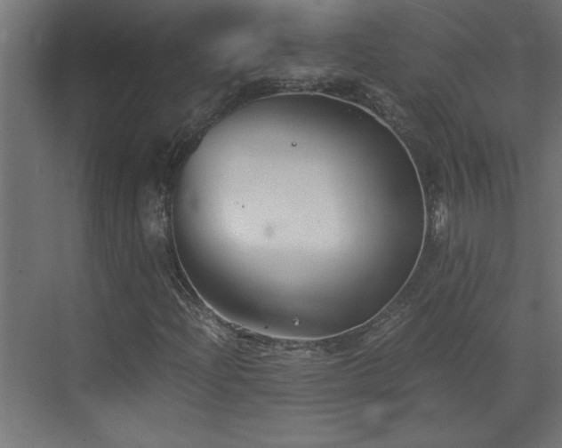 X0000073411204200607281117