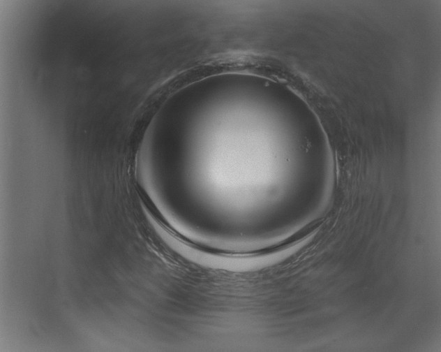 X0000073411206200607281117