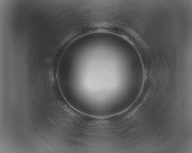 X0000073411209200607281117