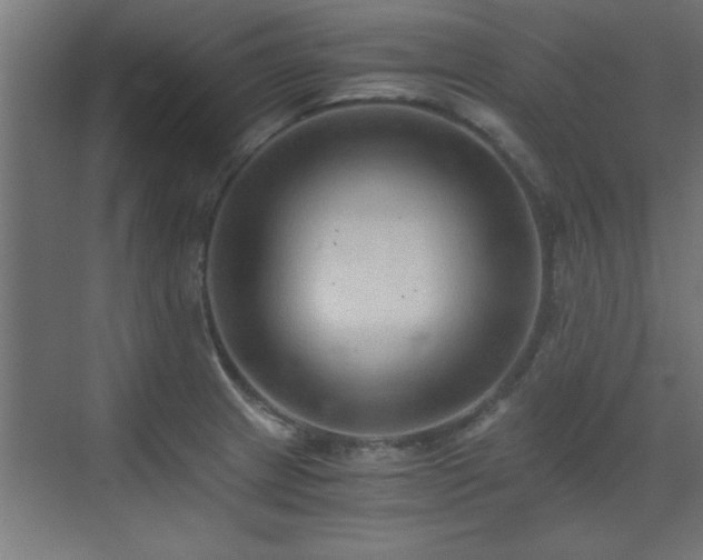 X0000073411233200607281118