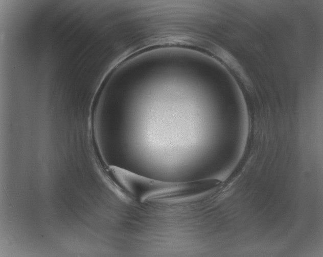 X0000073411234200607281118