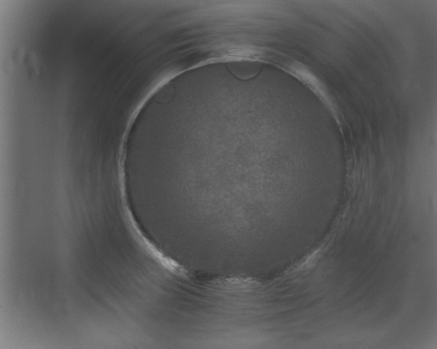 X0000073411235200607281118