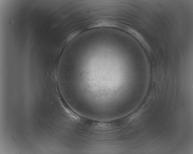 X0000073411241200607281118