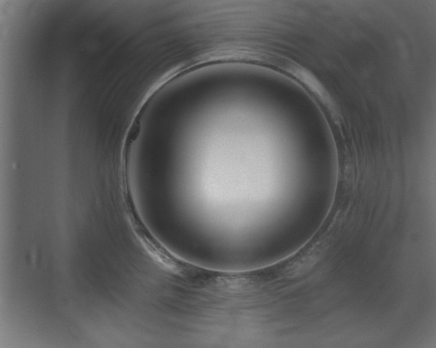 X0000073411242200607281118