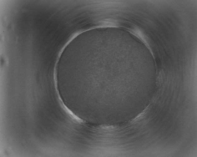 X0000073411243200607281118