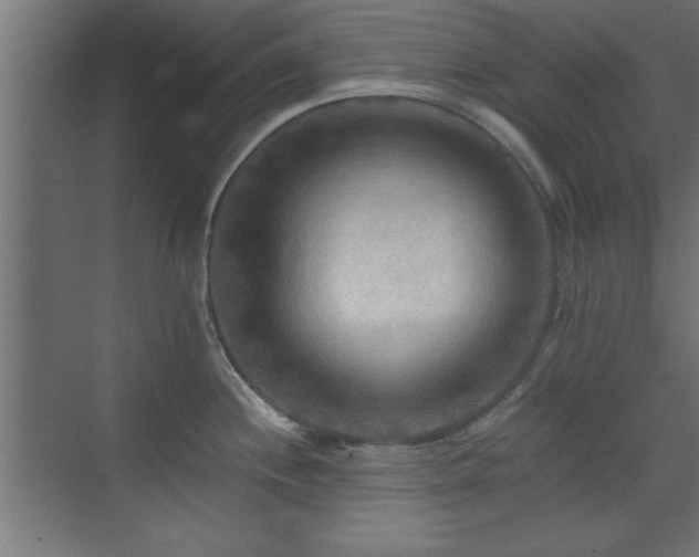 X0000073411244200607281118