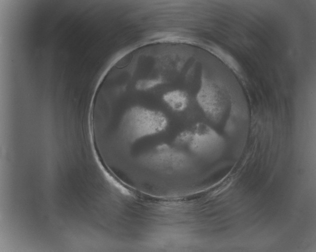 X0000073411247200607281118