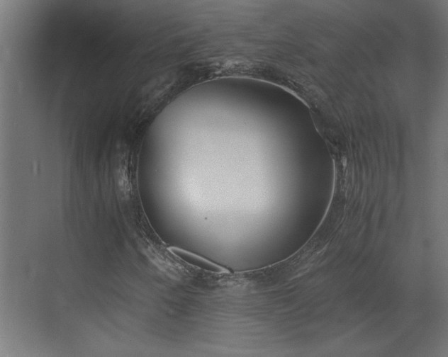 X0000073411250200607281117