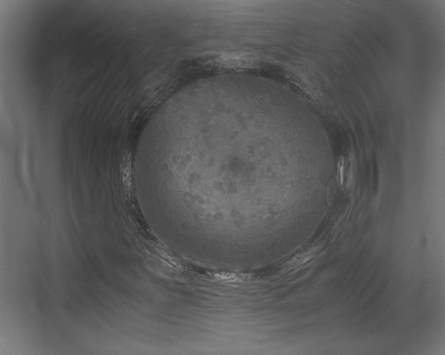X0000073411251200607281117