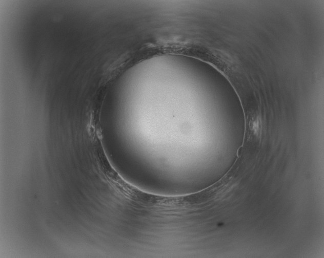 X0000073411252200607281117