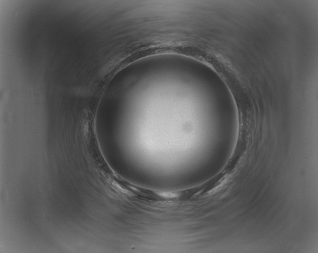 X0000073411257200607281117