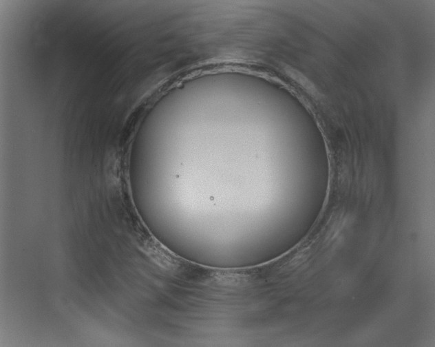 X0000073411258200607281117