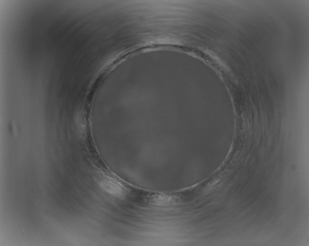 X0000073411266200607281117