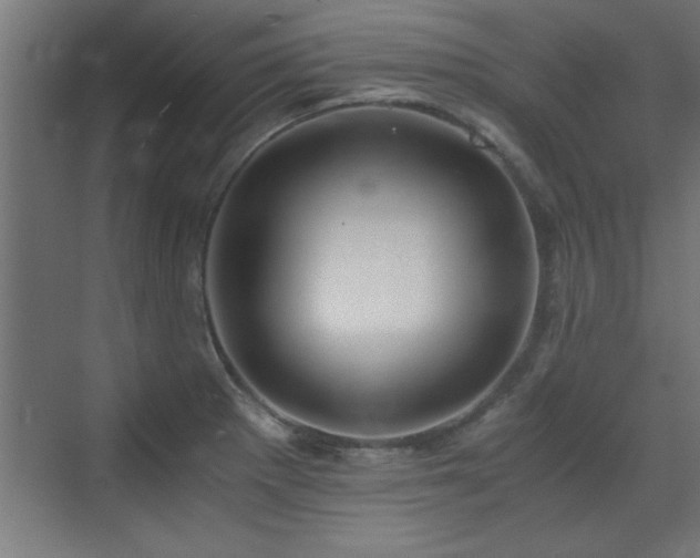 X0000073411281200607281117