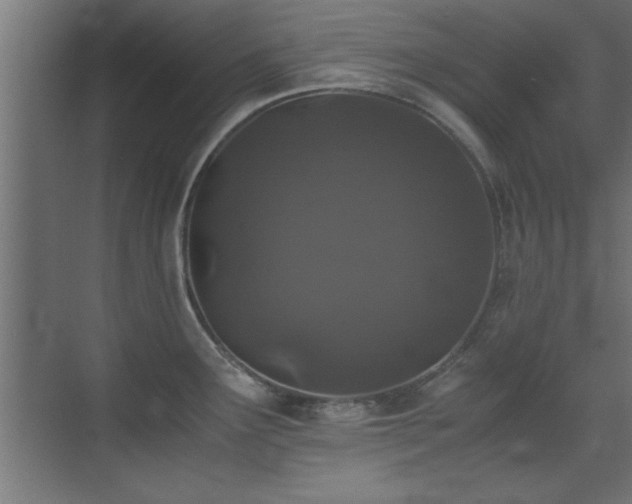X0000073411291200607281116