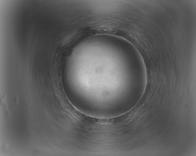 X0000073411297200607281116