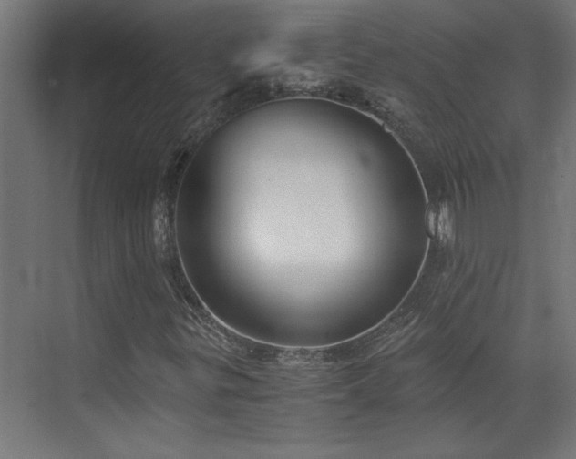 X0000073411299200607281116