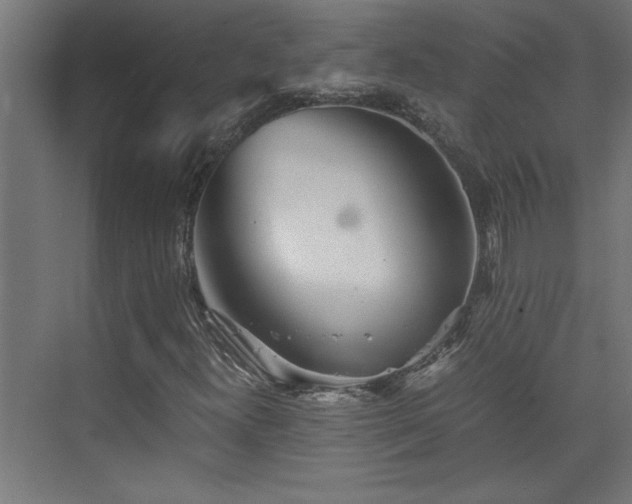 X0000073411300200607281116