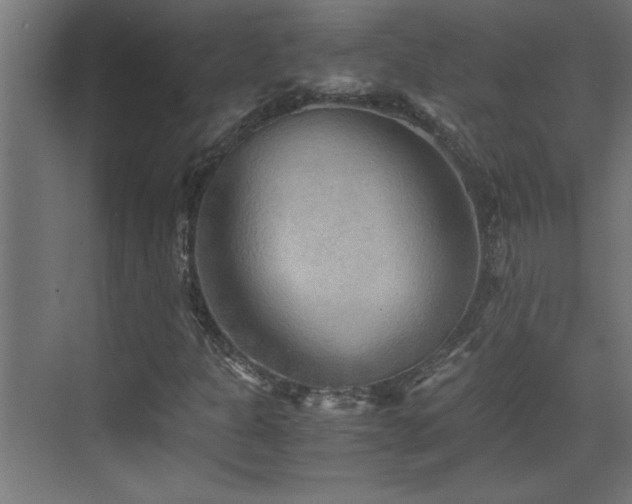 X0000073411301200607281116