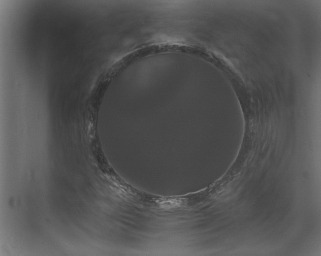 X0000073411303200607281116