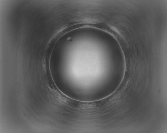 X0000073411307200607281116