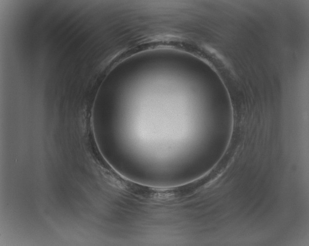 X0000073411313200607281116