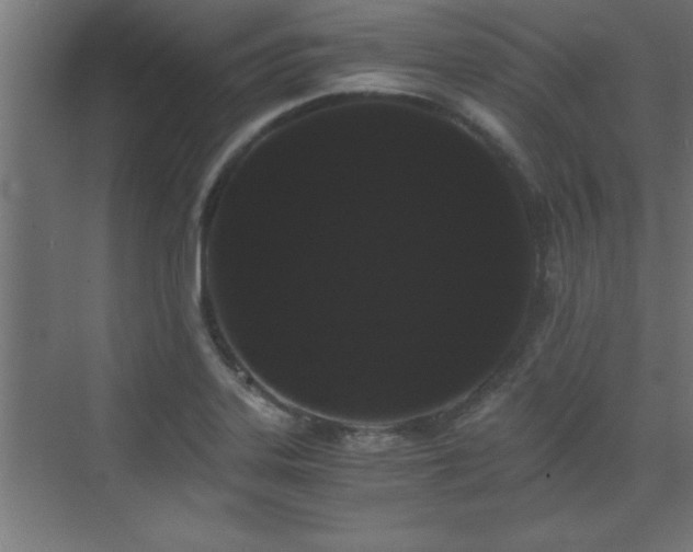 X0000073411323200607281116