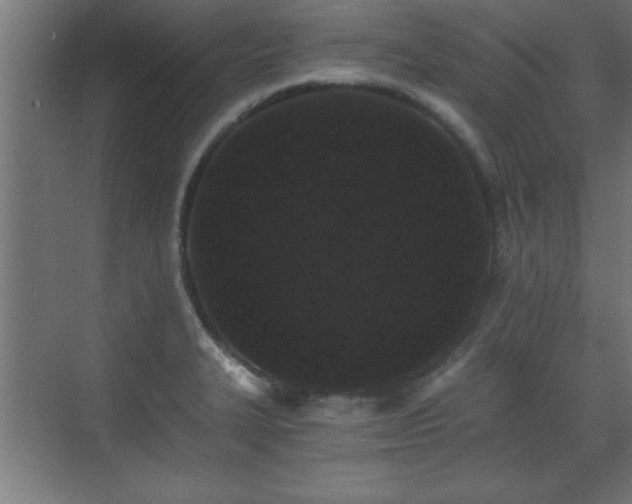 X0000073411327200607281116