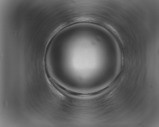 X0000073411330200607281116