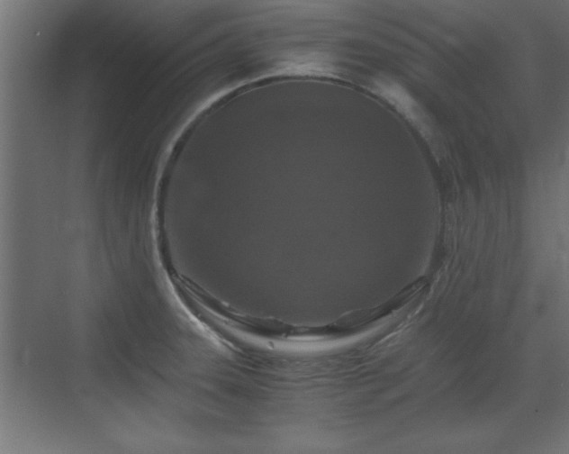 X0000073411331200607281116